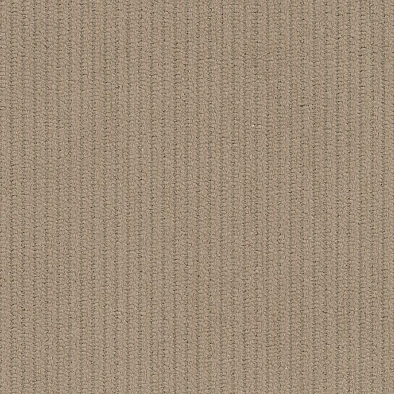 Corduroys & Moleskin 1824100 Beige 11 Wale Corduroy swatch