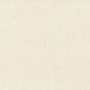Linen Collection 2024024 Ecru Solid swatch