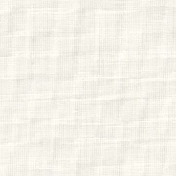 Linen Collection 2024300 White Solid swatch
