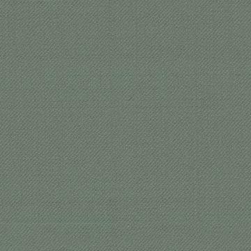 Sage Green Solid Holland & Sherry 3123543 cloth swatch