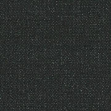 Charcoal sharkskin — Holland & Sherry City of London cloth 6223019