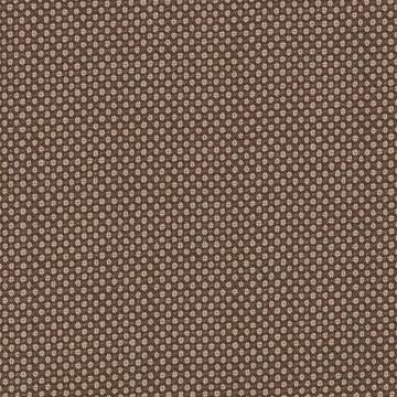 Perennial Classics 6425044 Tan Birdseye swatch