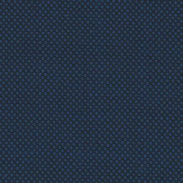 Perennial Classics 6425046 French Blue Birdseye swatch