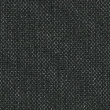 Perennial Classics 6425048 Charcoal Birdseye swatch