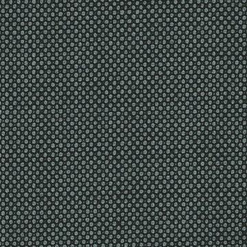 Perennial Classics 6425049 Grey Birdseye swatch