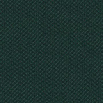 Cape Horn 6624033 Forest Green Reverse Birdseye swatch