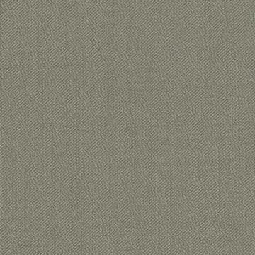 Putty Solid Holland & Sherry 6824020 cloth swatch