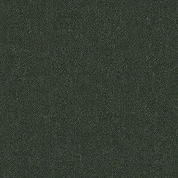 Classic Worsted Flannel 7523203 Classic Worsted Flannel Forest Green Solid swatch