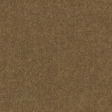 Classic Worsted Flannel 7523401 Classic Worsted Flannel Tan Solid swatch