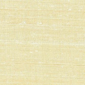 Black tie 9722045 Cream Dupioni Silk swatch