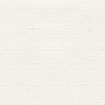Black tie 9722047 Ivory Dupioni Silk swatch